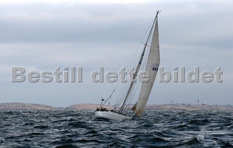 NOR8915.jpg