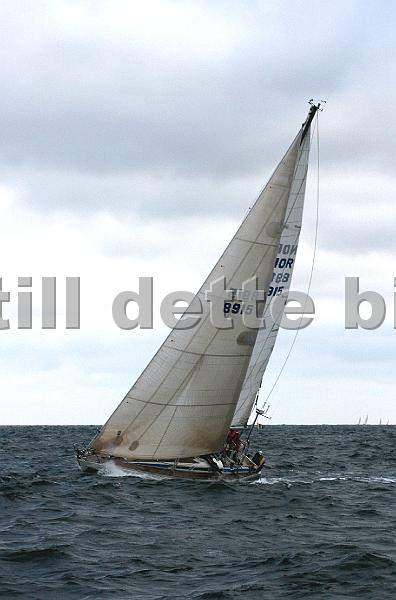 NOR8915_4.jpg