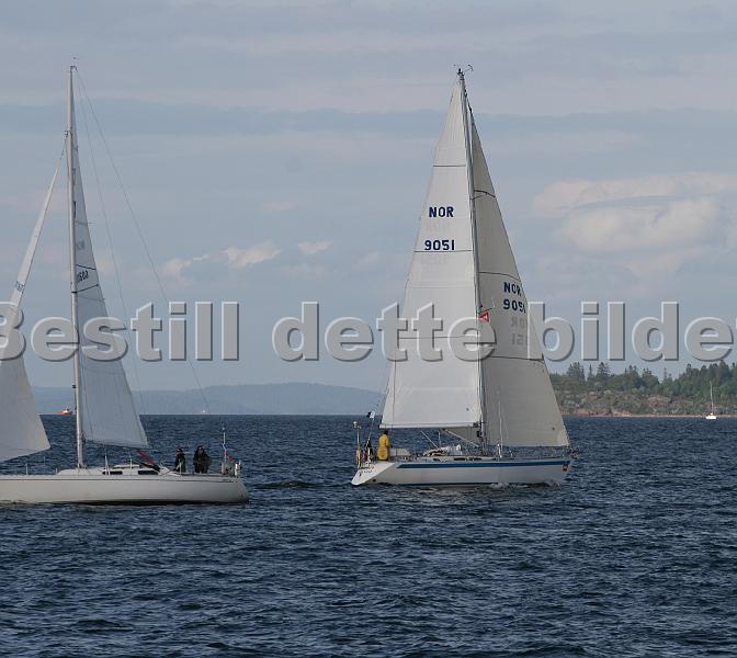 NOR9051.jpg