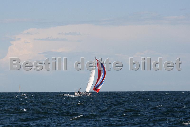 NOR9157_5.jpg