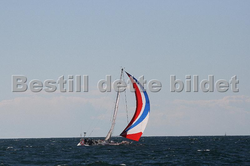 NOR9157_6.jpg