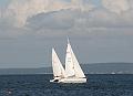 NOR13724_NOR11882