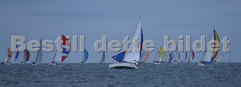 NOR10081_2.jpg