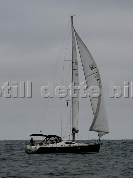 NOR11857_1.jpg