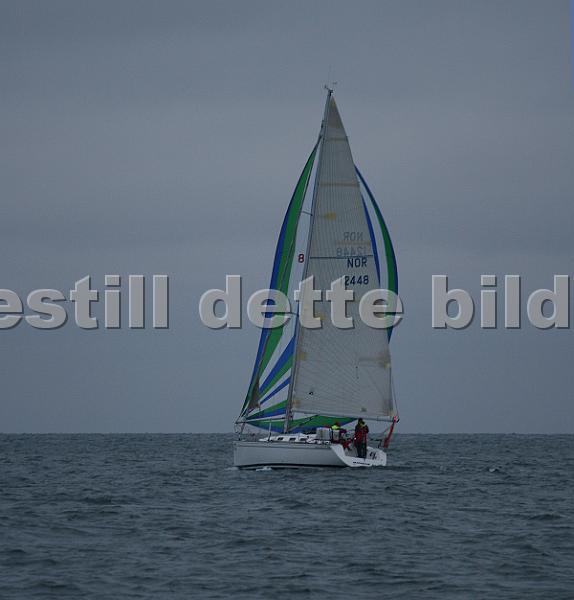 NOR12448_2.jpg