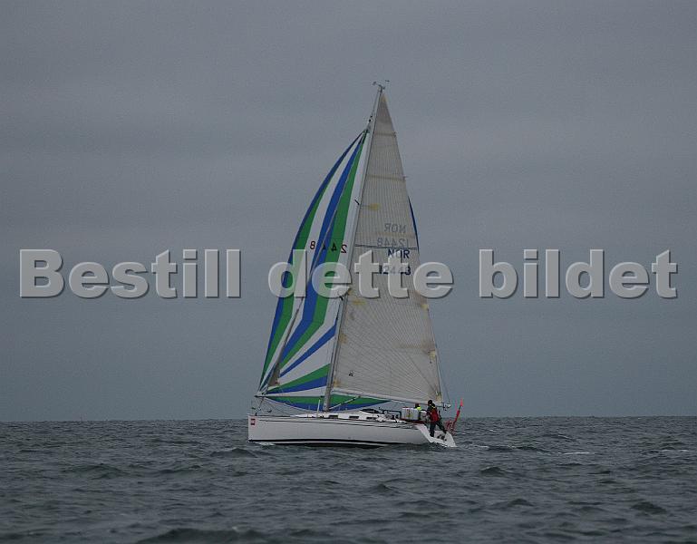 NOR12448_3.jpg