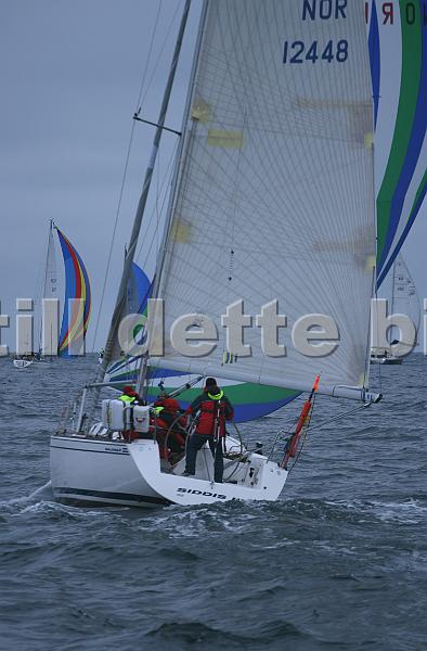 NOR12448_4.jpg