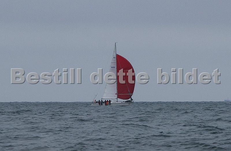 NOR4466_1.jpg