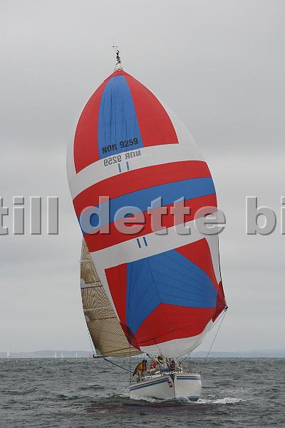 NOR9259_4.jpg