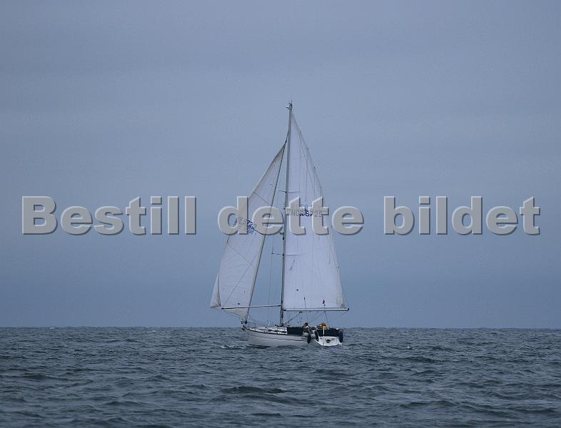 NOR9729_2.jpg