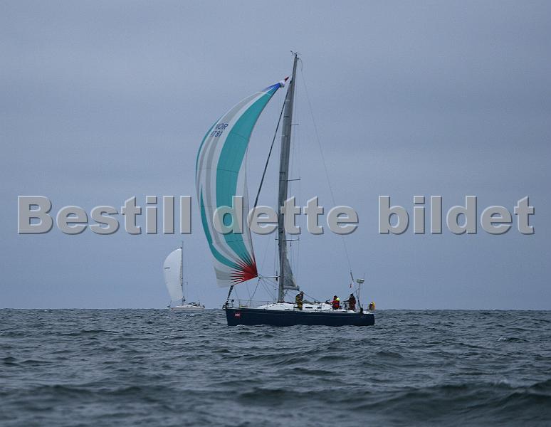 NOR9781_3.jpg