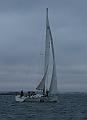 NOR11461_2