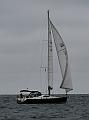 NOR11857_1