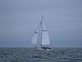 NOR9729_2
