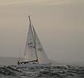 NOR11871_1