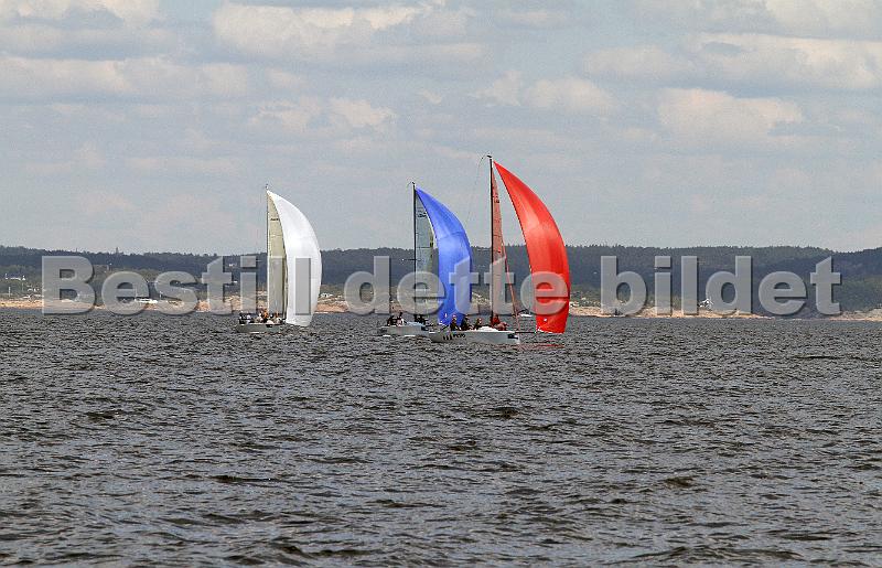 IMG_6081.JPG