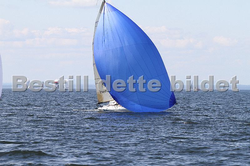 IMG_6575.JPG