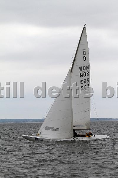 IMG_6875.JPG