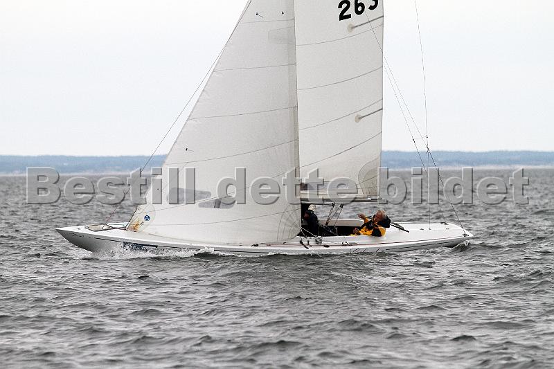 IMG_6876.JPG