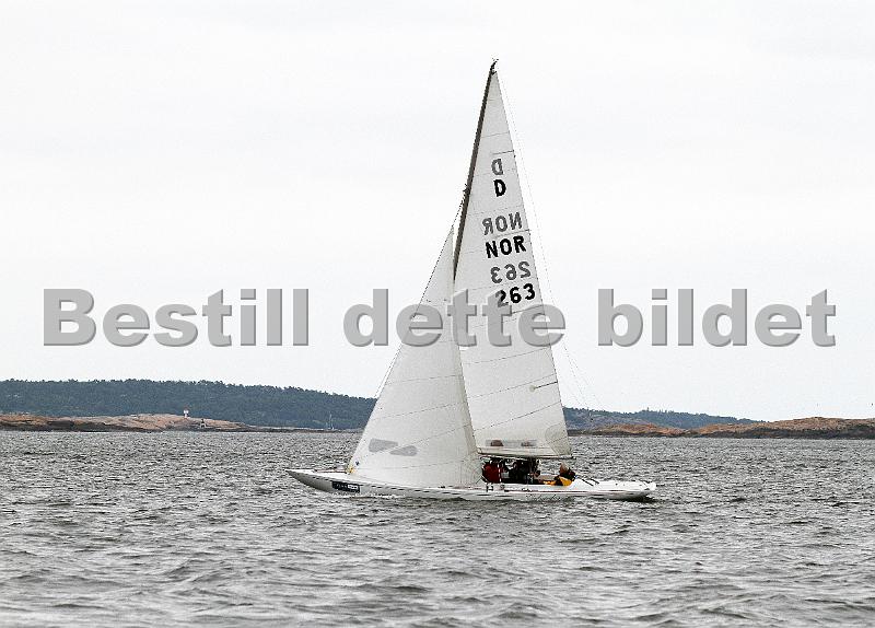 IMG_6881.JPG