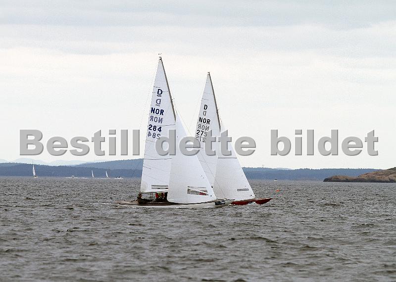 IMG_6885.JPG