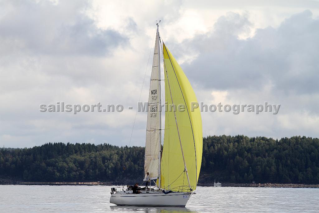 NOR13674_2.jpg