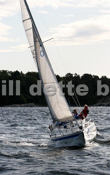 NOR4380_2.jpg