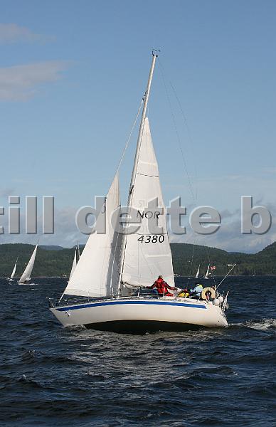 NOR4380_4.jpg