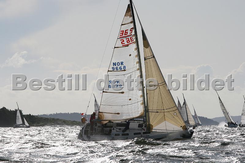 NOR9668_1.jpg