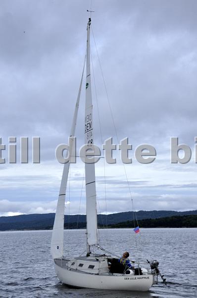 DEN418_2.jpg