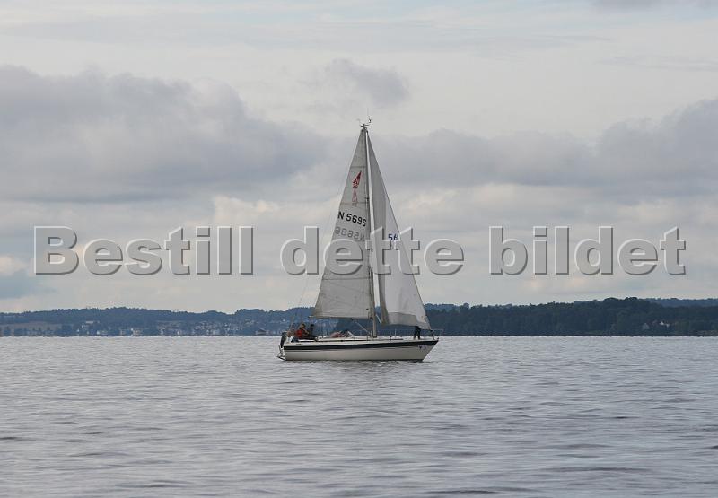 N5696_3.jpg