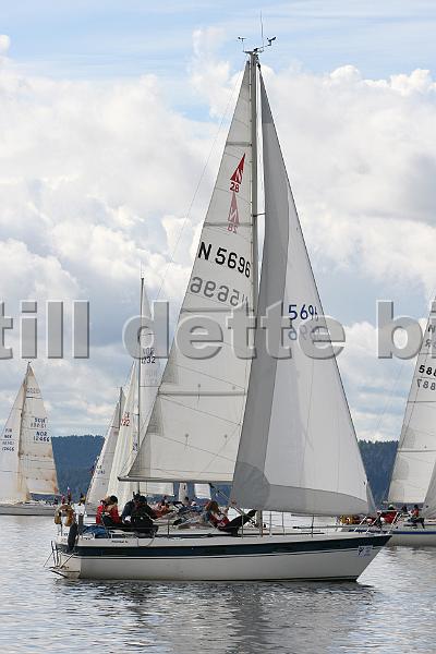 N5696_4.jpg
