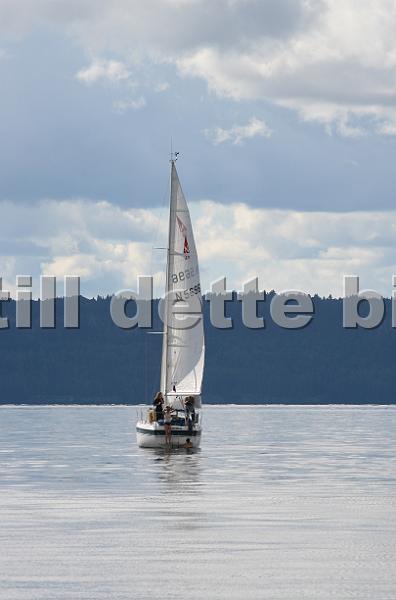 N5696_5.jpg