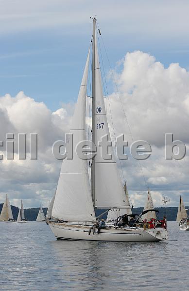NOR11667_1.jpg