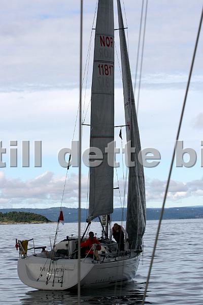 NOR11817_1.jpg