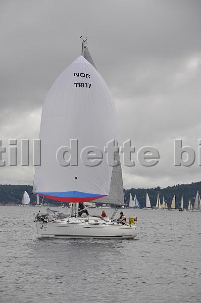 NOR11817_2.jpg