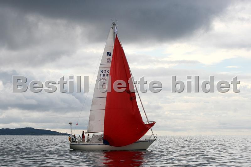 NOR11991_2.jpg