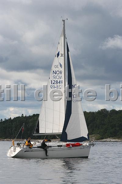 NOR12849_2.jpg