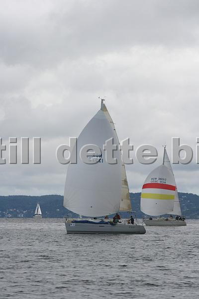 NOR13372_NOR3650_1.jpg