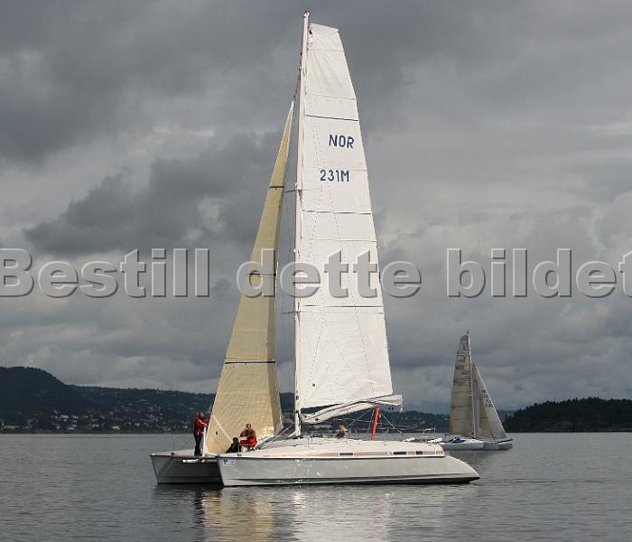 NOR231M_3.jpg