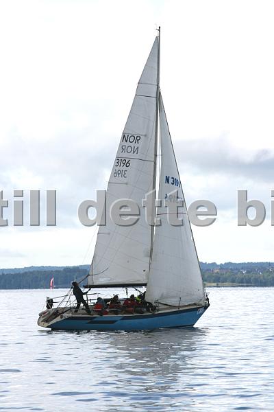 NOR3196_2.jpg