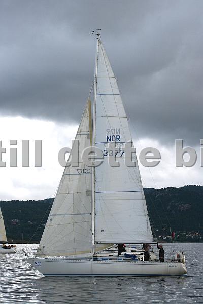 NOR3377_1.jpg