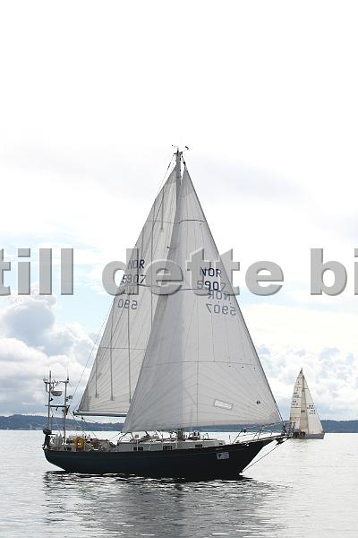 NOR5907_2.jpg