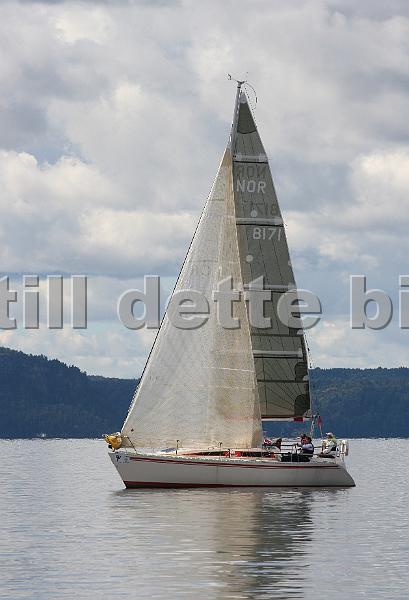 NOR8171_2.jpg