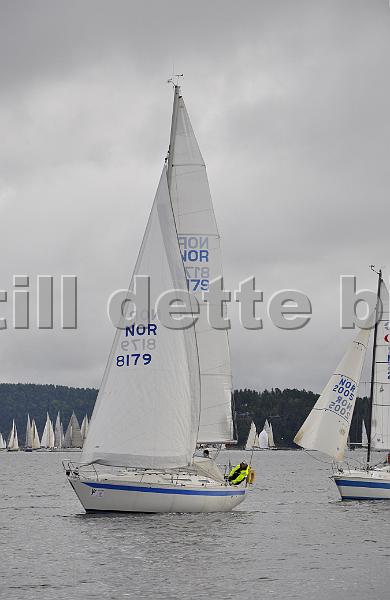 NOR8179_1.jpg