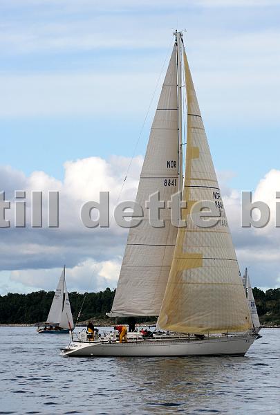 NOR8841_2.jpg
