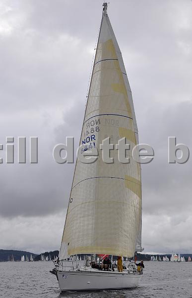NOR8841_3.jpg