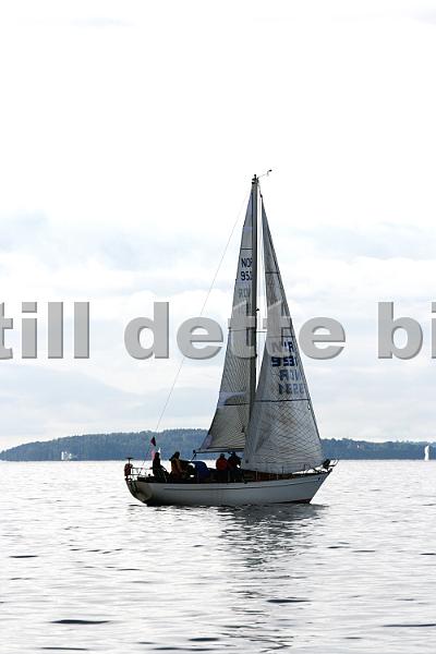 NOR9531_1.jpg