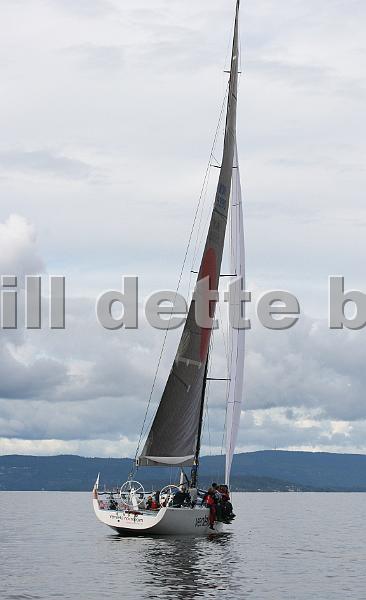 NOR9990_6.jpg