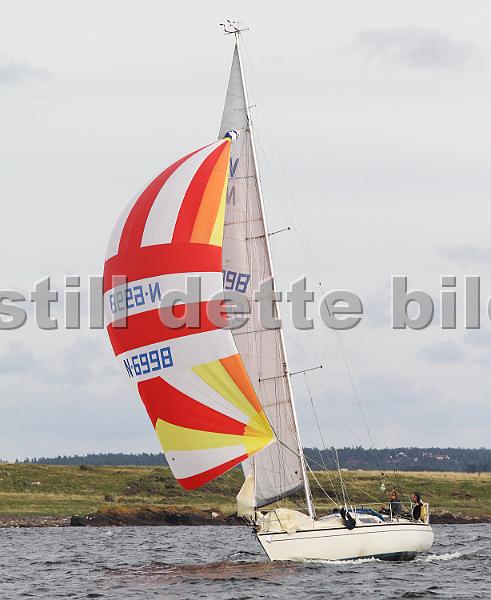 N6998_2.jpg
